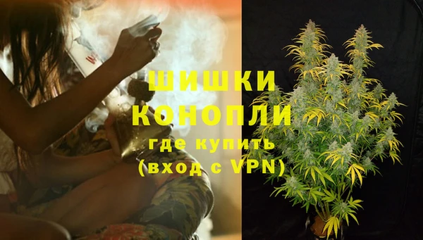 эйфоретик Баксан