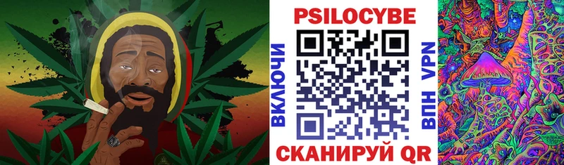 KRAKEN ссылка  Нурлат  Псилоцибиновые грибы MAGIC MUSHROOMS 